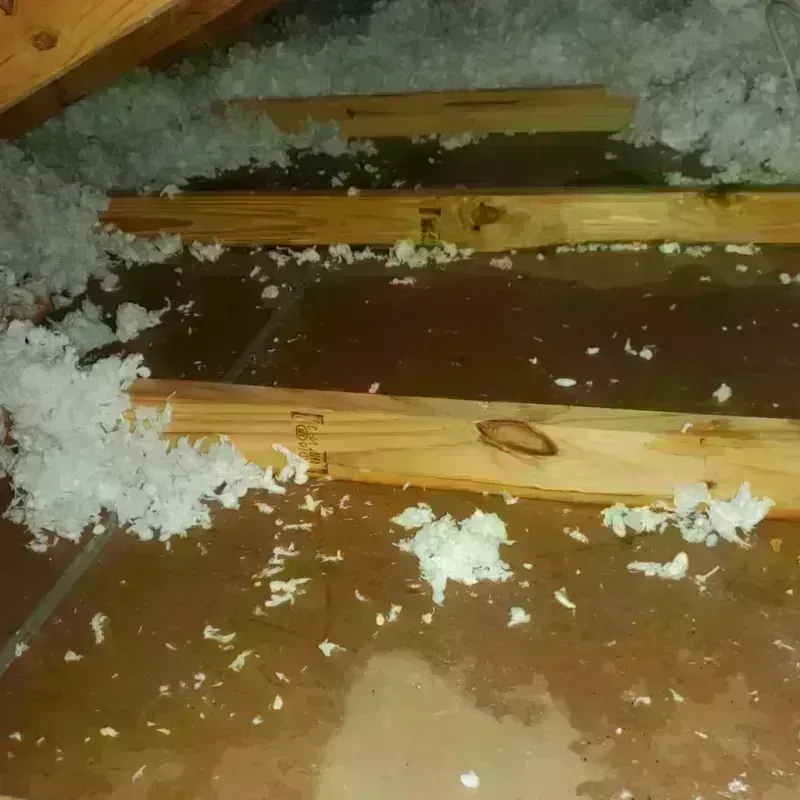 Attic Water Damage in Thomson, GA