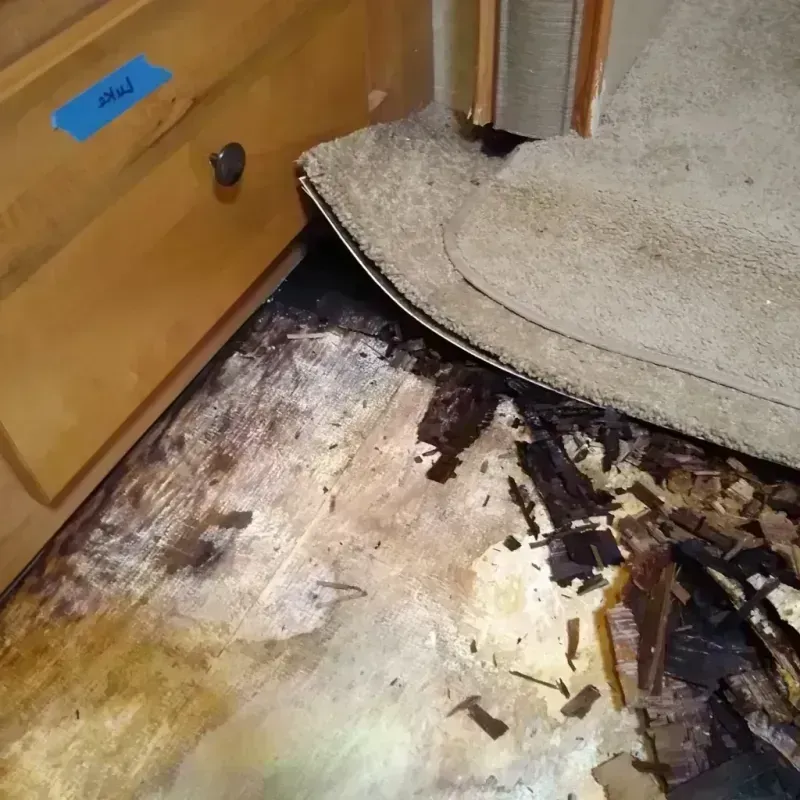 Wood Floor Water Damage in Thomson, GA